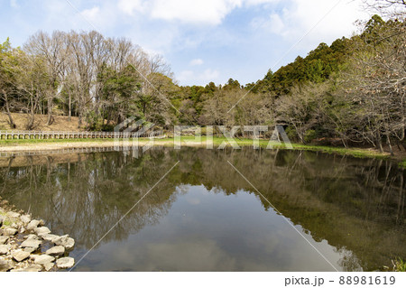 七ツ洞公園 88981619