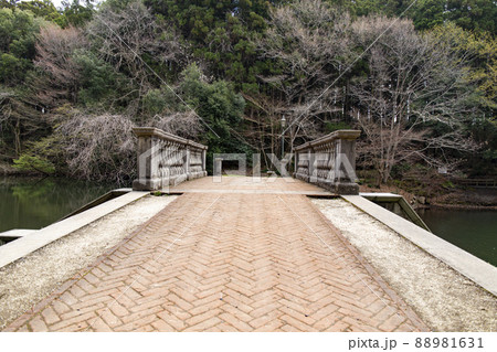 七ツ洞公園 88981631