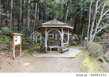 七ツ洞公園 七ツ洞公園 88981634