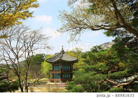 建物 香遠亭 風景 88981635