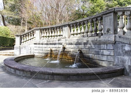 七ツ洞公園 88981656