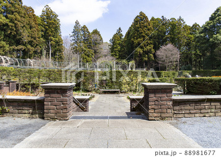 七ツ洞公園 七ツ洞公園 88981677