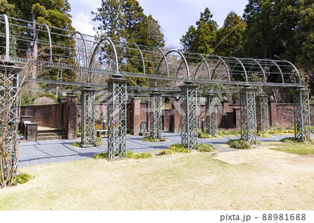 七ツ洞公園 88981688