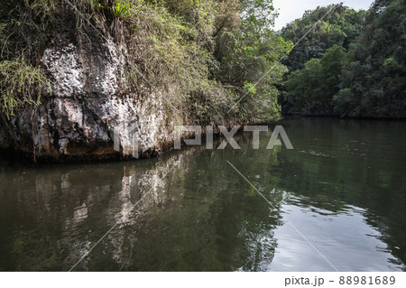 Coastal landscape of Samana bay with rocky islands Coastal landscape of Samana bay with rocky islands 88981689