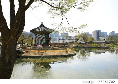 建物 池 香遠亭 88981702
