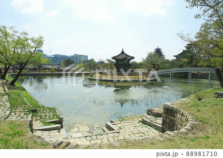 空 建物 池 88981710