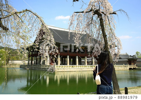 建物 景福宮 池 88981979