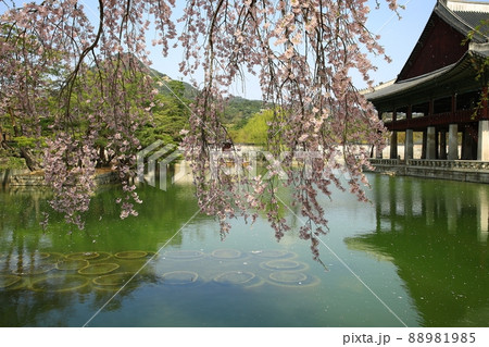 建物 景福宮 池 88981985