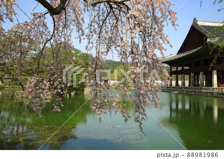 景福宮 池 慶会楼 88981986