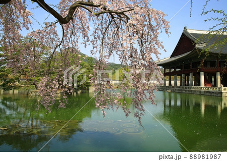 建物 景福宮 池 88981987