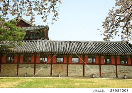 ランドマーク 景色 景福宮 88982003