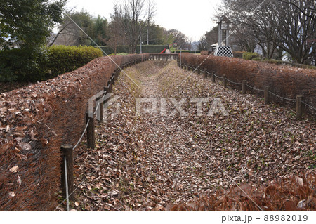 庄田城跡に復元された空堀 庄田城跡に復元された空堀 88982019