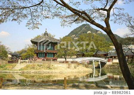 景色 景福宮 池 88982061