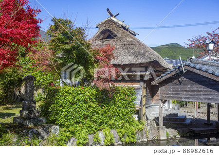 秋の湯布院　下ん湯の紅葉 88982616