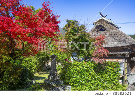 湯布院 下ん湯の紅葉 湯布院 下ん湯の紅葉 88982621
