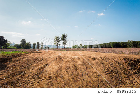 Empty dry cracked swamp reclamation soil, land plot for housing construction project with car tire print in rural area and beautiful blue sky. 88983355