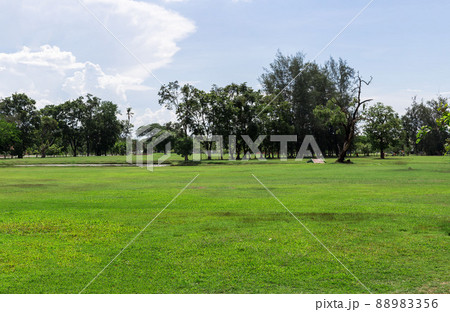 Empty dry cracked swamp reclamation soil, land plot for housing construction Green meadow, beautiful views and beautiful blue sky Empty dry cracked swamp reclamation soil, land plot for housing construction Green meadow, beautiful views and beautiful blue sky 88983356