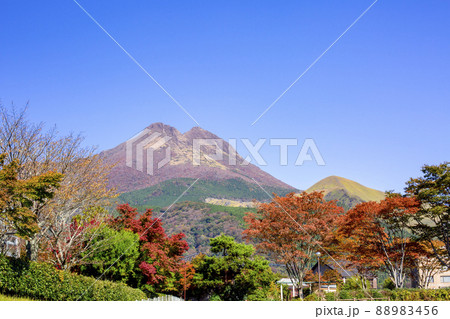 秋の湯布院 秋の湯布院 88983456