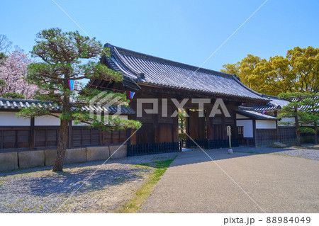 春の香川県丸亀市の丸亀城 玄関先御門など城内から 88984049