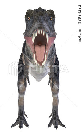 タルボサウルス☆Tarbosaurus 88984232