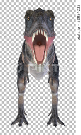 タルボサウルス☆Tarbosaurus 88984232