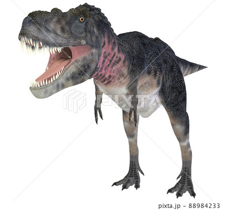 タルボサウルス☆Tarbosaurus タルボサウルス☆Tarbosaurus 88984233