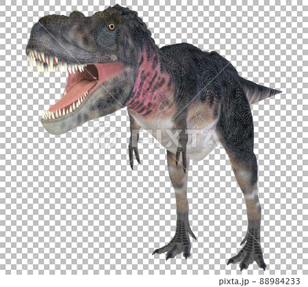 タルボサウルス☆Tarbosaurus タルボサウルス☆Tarbosaurus 88984233