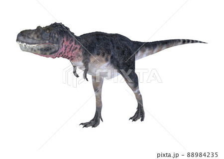 タルボサウルス☆Tarbosaurus 88984235