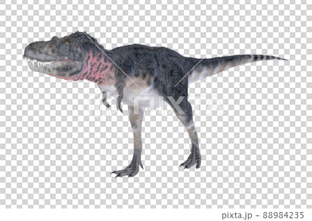 タルボサウルス☆Tarbosaurus 88984235