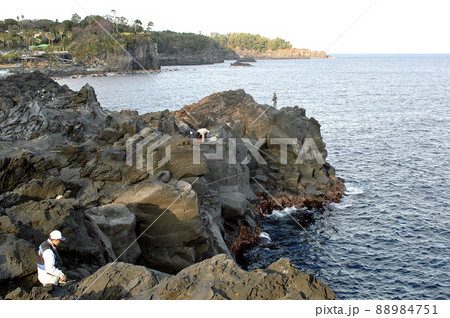 城ケ崎海岸の磯釣り 88984751