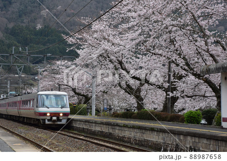 伯備線木野山駅の桜 伯備線木野山駅の桜 88987658