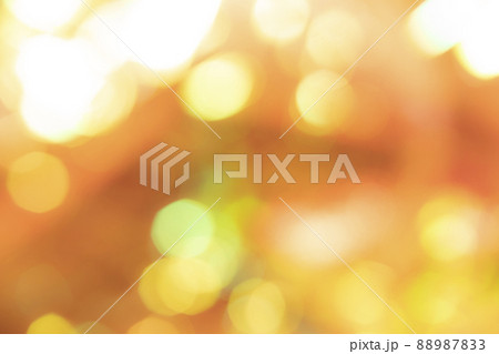 オレンジ系パーティーイメージ 88987833