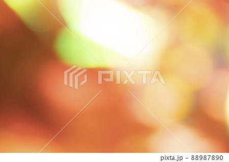 オレンジ系パーティーイメージ オレンジ系パーティーイメージ 88987890