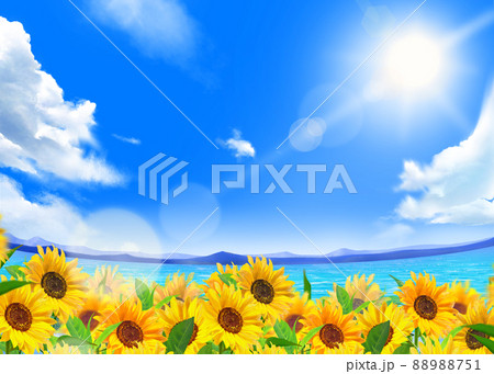 雲のある青空に太陽の下美しいひまわりが咲く海沿いのひまわり畑の初夏フレーム背景素材のイラスト素材 8751