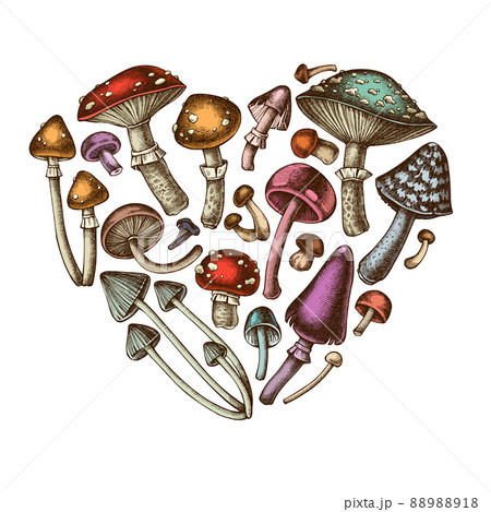Forest mushrooms heart vintage design. Hand drawn mushrooms, fly agaric, blewit, shimeji, enoki, etc Forest mushrooms heart vintage design. Hand drawn mushrooms, fly agaric, blewit, shimeji, enoki, etc 88988918
