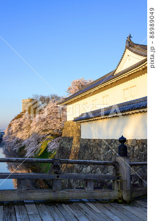 霞城公園清々しい朝　春　山形県 88989049
