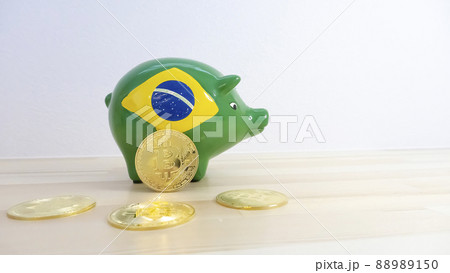 ビットコイン投資とブラジルの国旗の豚の貯金箱_04 ビットコイン投資とブラジルの国旗の豚の貯金箱_04 88989150