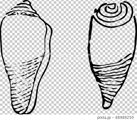 Shellfish Shellfish 88989250