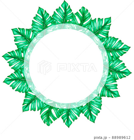 Watercolor frame made of monster leaves Watercolor frame made of monster leaves 88989612