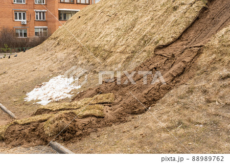 Poor quality turf. Dead plants on the slope. Yellowed rolled lawn. The lawn did not take root Poor quality turf. Dead plants on the slope. Yellowed rolled lawn. The lawn did not take root 88989762