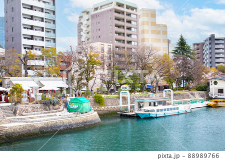 春の平和記念公園の風景です。桜がもうすぐ満開です。宮島行き遊覧船です。広島県 春の平和記念公園の風景です。桜がもうすぐ満開です。宮島行き遊覧船です。広島県 88989766