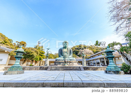 初春の鎌倉大仏　神奈川県鎌倉市 88989810