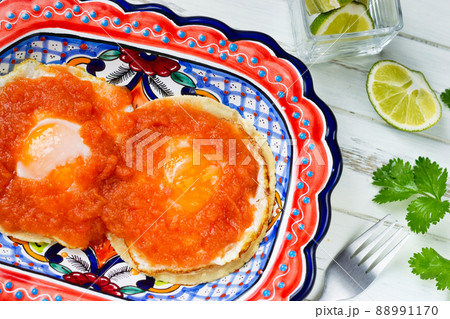 メキシコ料理 ウェボス・ランチェロス 88991170