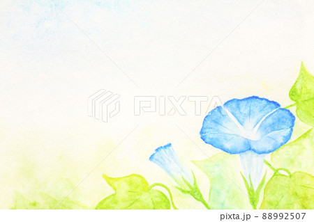 透明水彩で描いた朝顔の背景素材 のイラスト素材