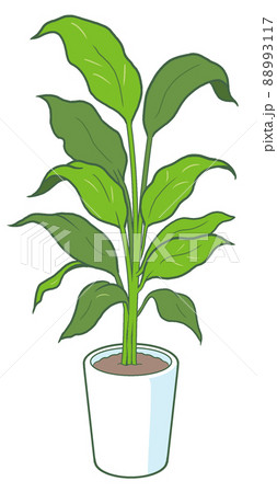 観葉植物のイラスト【オフィス・屋内・自然・緑・インテリア・グリーン・鑑賞用】 88993117