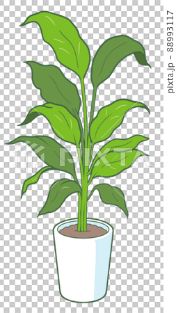 観葉植物のイラスト【オフィス・屋内・自然・緑・インテリア・グリーン・鑑賞用】 88993117
