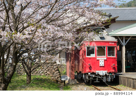 廃駅に咲く満開の桜と動く事の無い電車・谷汲駅跡 88994114