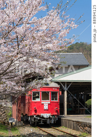 廃駅に咲く満開の桜と動く事の無い電車・谷汲駅跡 廃駅に咲く満開の桜と動く事の無い電車・谷汲駅跡 88994125