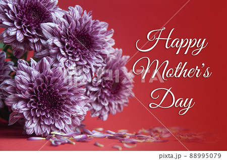 Design concept of Happy Mother's Day celebration - Mother's Day wishes with flower bouquet on red background. Conceptual Design concept of Happy Mother's Day celebration - Mother's Day wishes with flower bouquet on red background. Conceptual 88995079