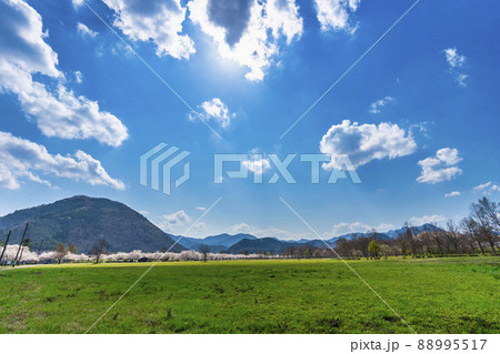 七ヶ宿公園の風景　青空と広場　宮城県七ヶ宿町 88995517